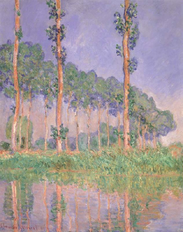Claude Monet Poplars,Pink Effect oil painting image